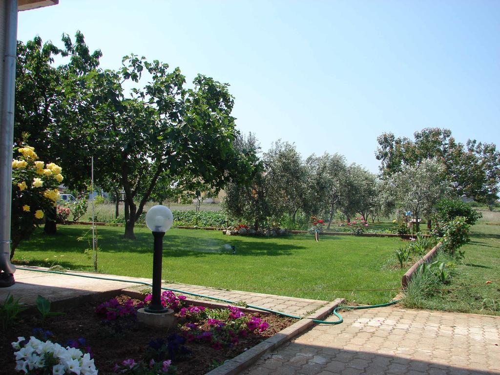 זאטון Apartments Martin מראה חיצוני תמונה
